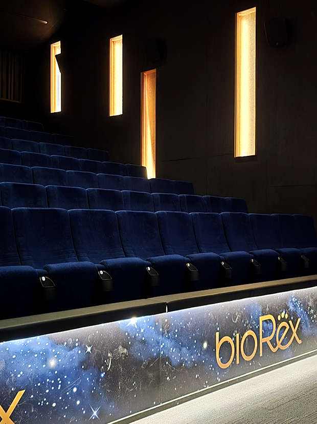 Partanen & Lamusuon suunnittelema BioRex Pietarsaari komeudessaan. | The stunning auditorium of BioRex Pietarsaari designed by Partanen & Lamusuo.